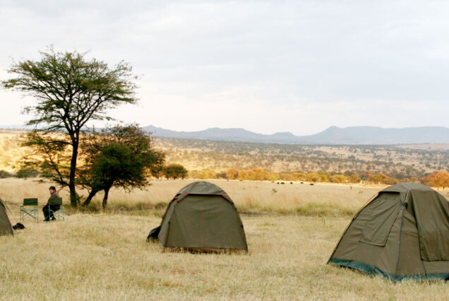 7 Days 6 Nights Kenya Camping & Hotel Experience