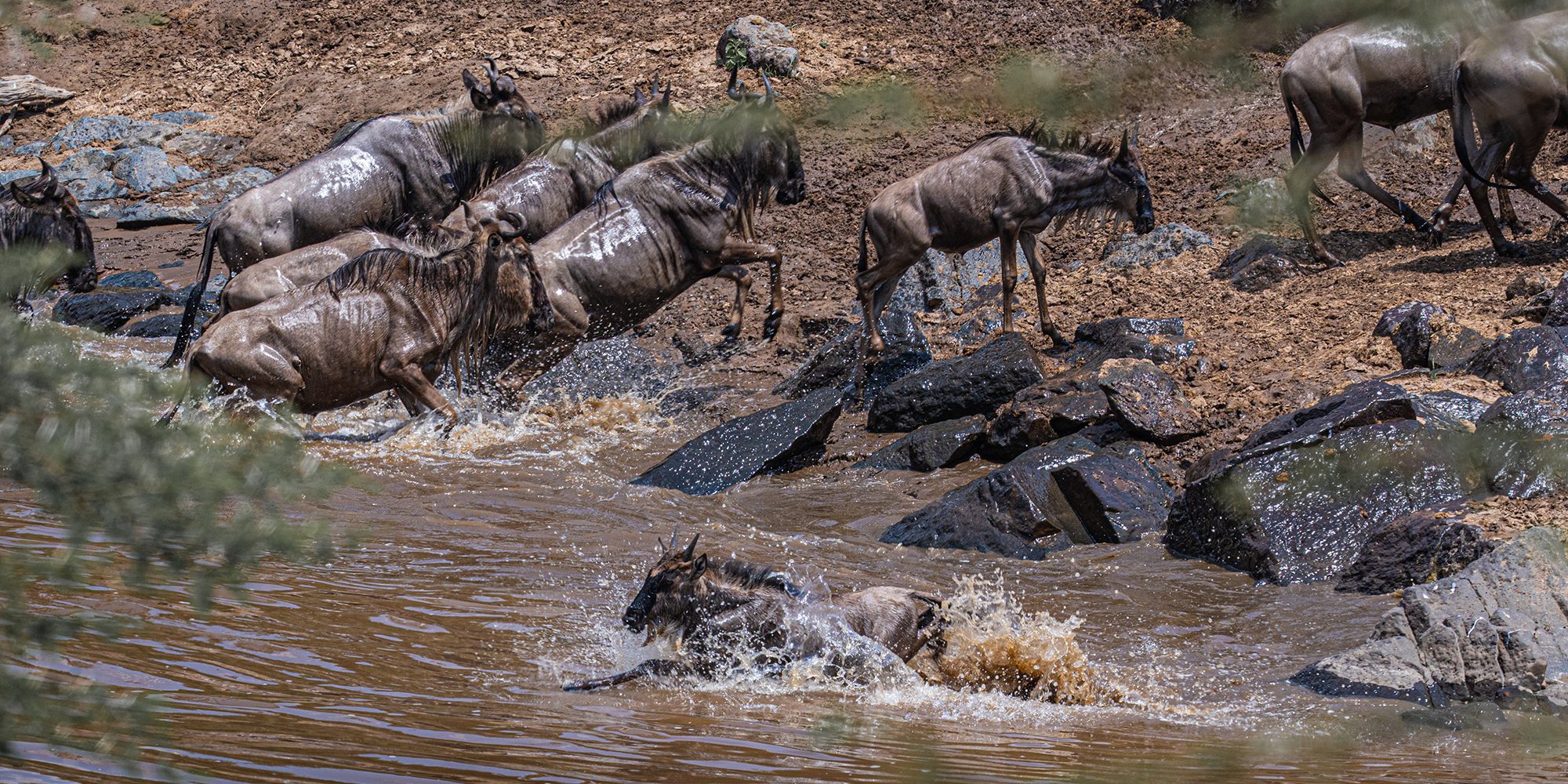 13 Days 12 Nights Ultimate East African Migration Safari
