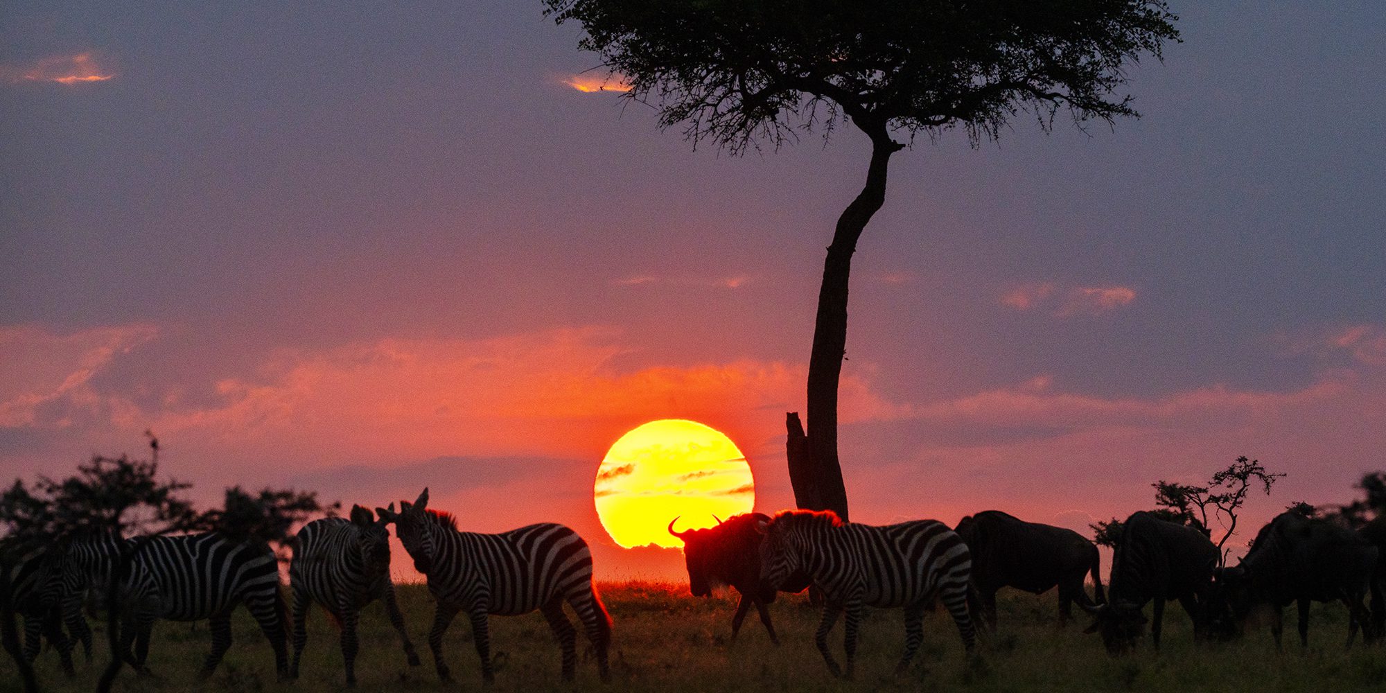 11 Days 10 Nights Kenya Tanzania Wildebeest Migration Trails