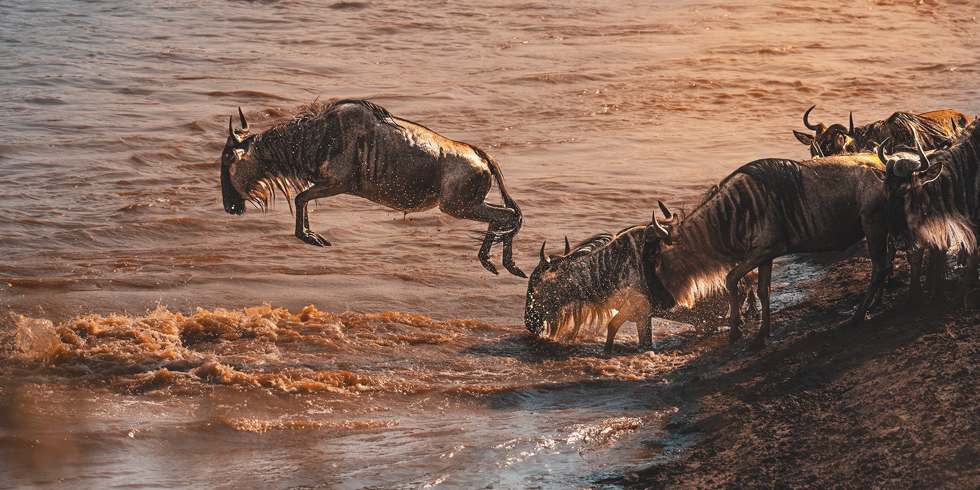 10 Days 9 Nights Kenya Tanzania Wildebeest Crossing Experience