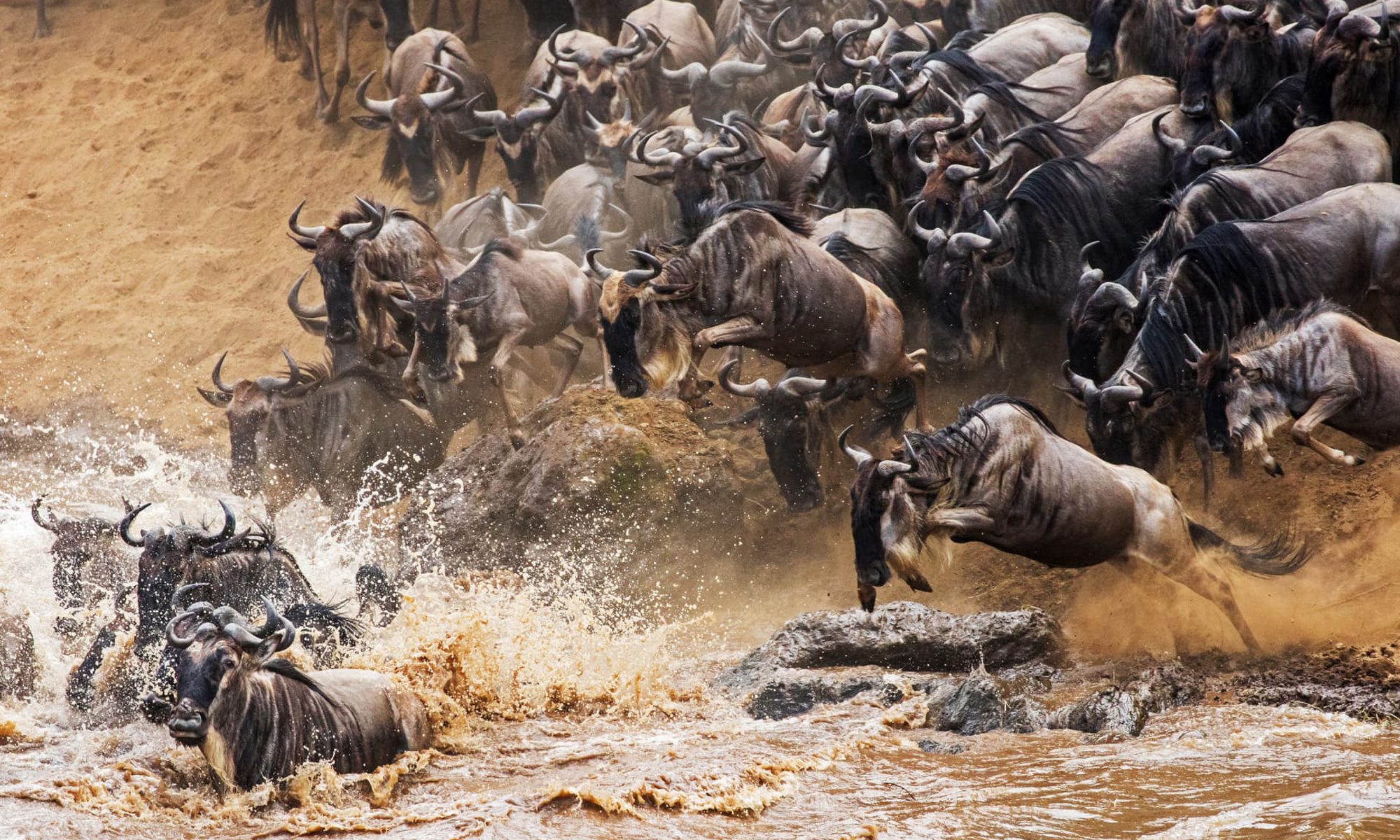 12 Days 11 Nights Kenya Tanzania Great Migration Safari