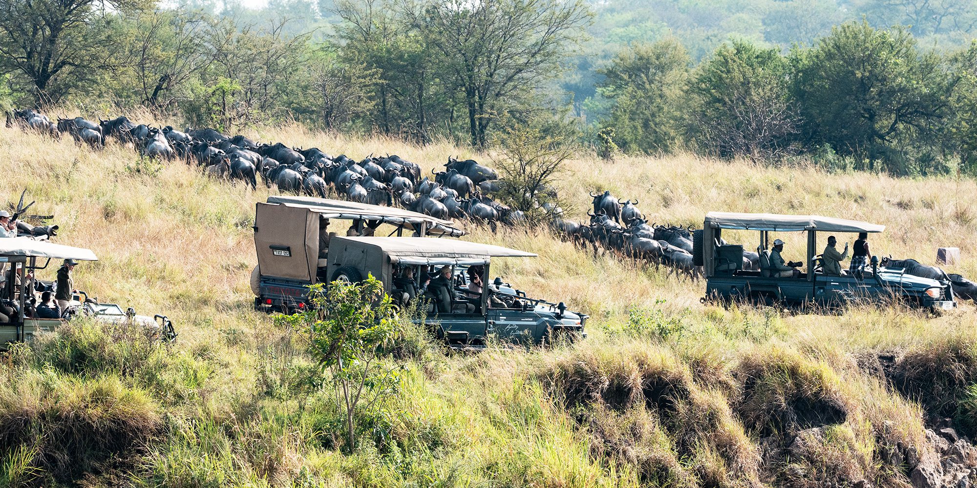 9 Days 8 Nights Kenya Tanzania Great Migration Wild Wonders