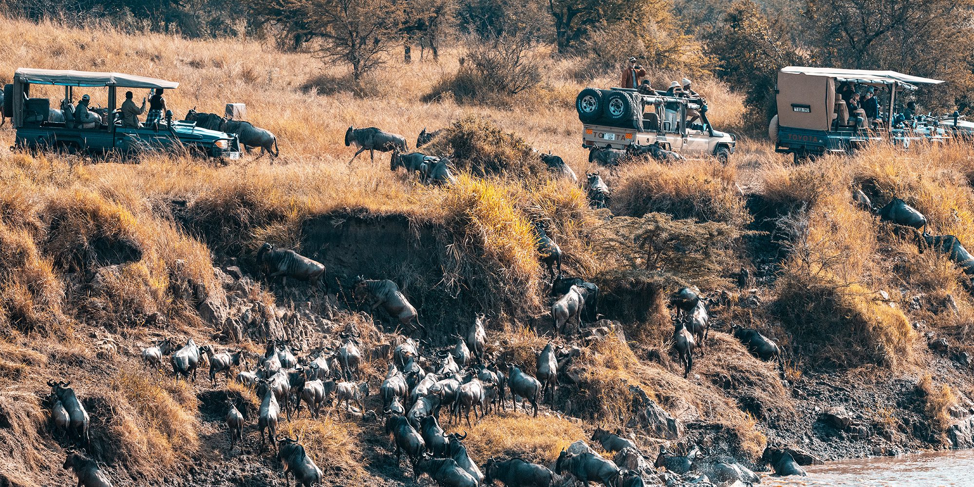 12 Days 11 Nights Kenya Tanzania Great Migration Safari