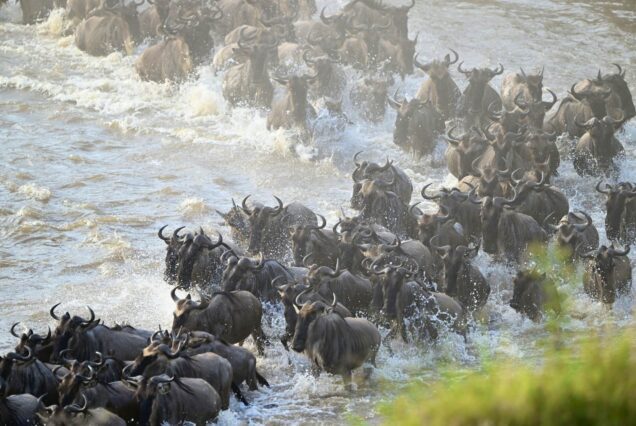 Serengeti National Park