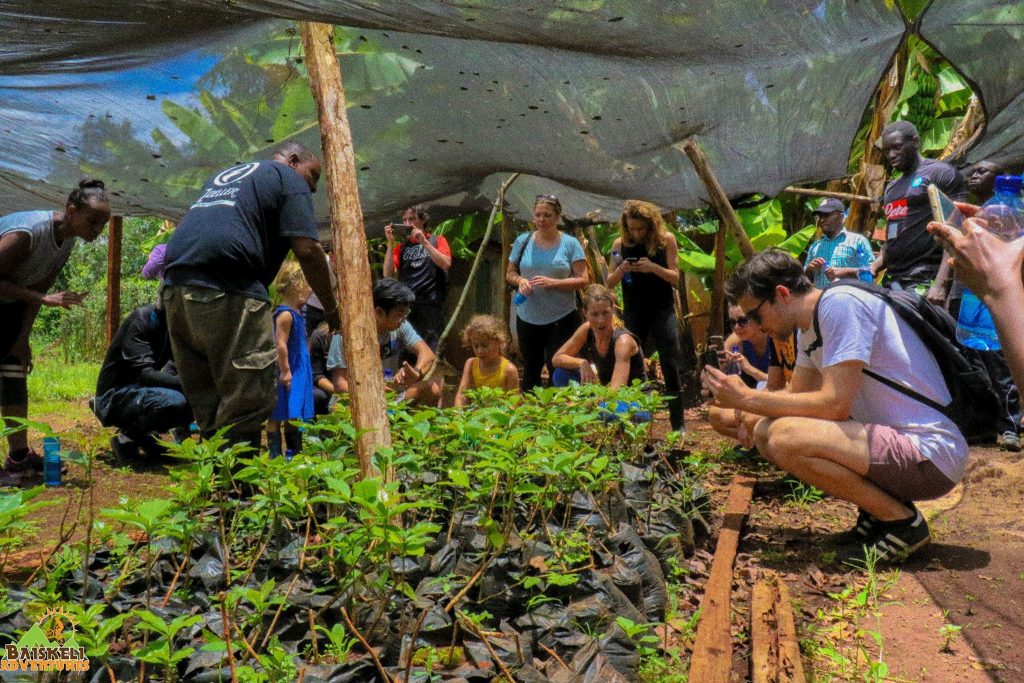 East African Coffee Tours