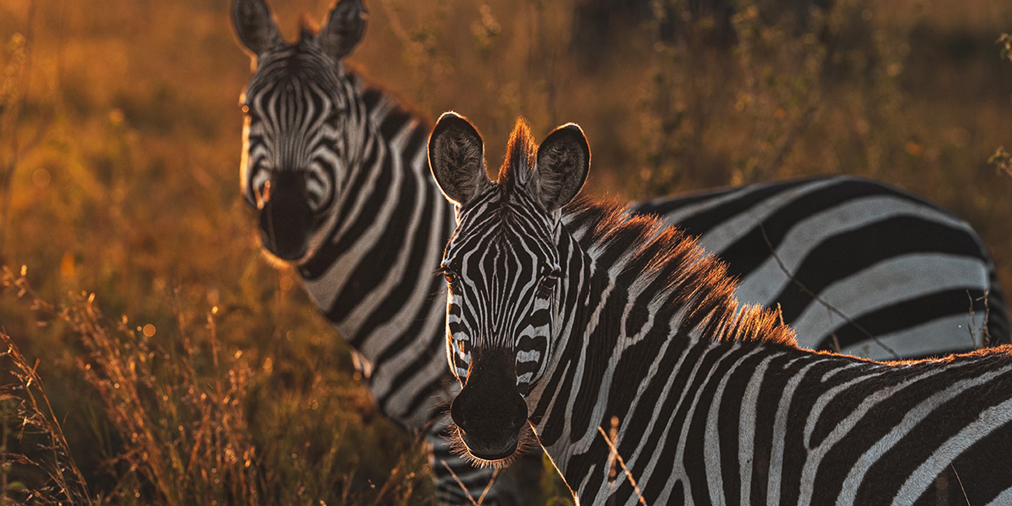 Kidepo Valley National Park