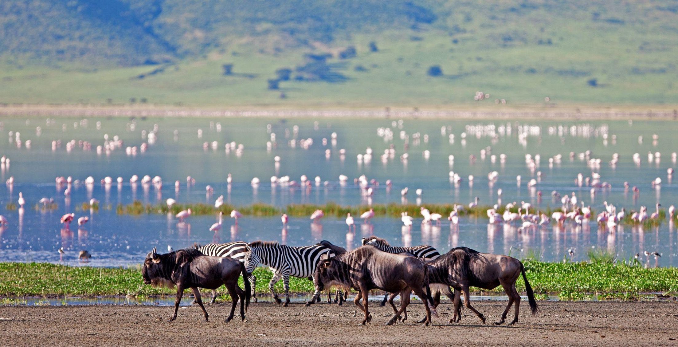 4 Days Tanzania Safari - Tarangire, Ngorongoro & Serengeti