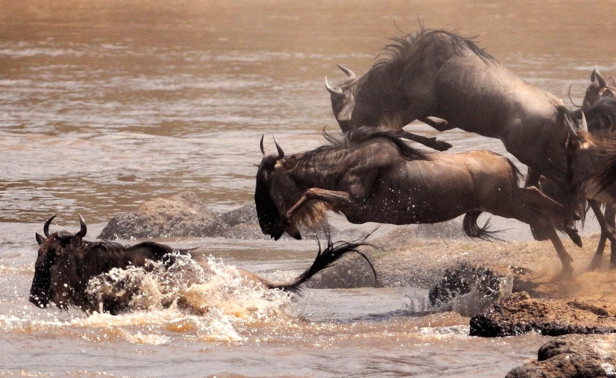 9 Days Kenya Tanzania Beach & Wildebeests Migration Safari
