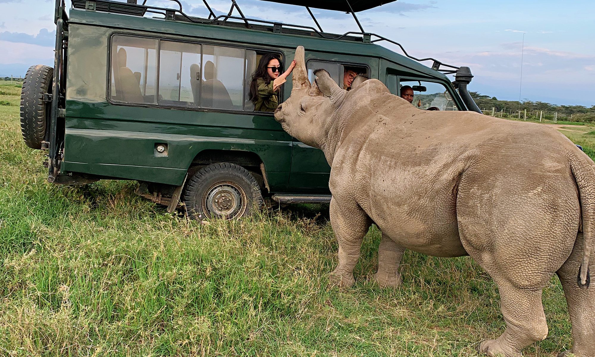 13 Days Kenya Tanzania Beach & Wildebeests Migration Safari