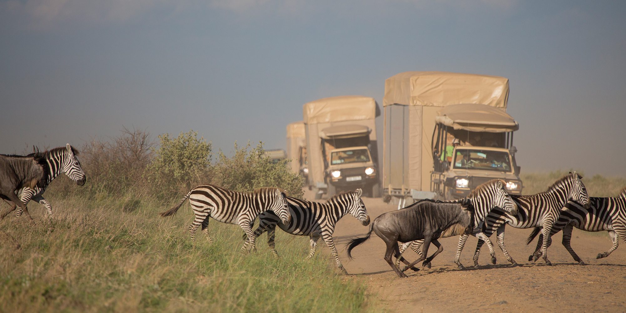 6 Days Tanzania Wildebeests Migration Safari