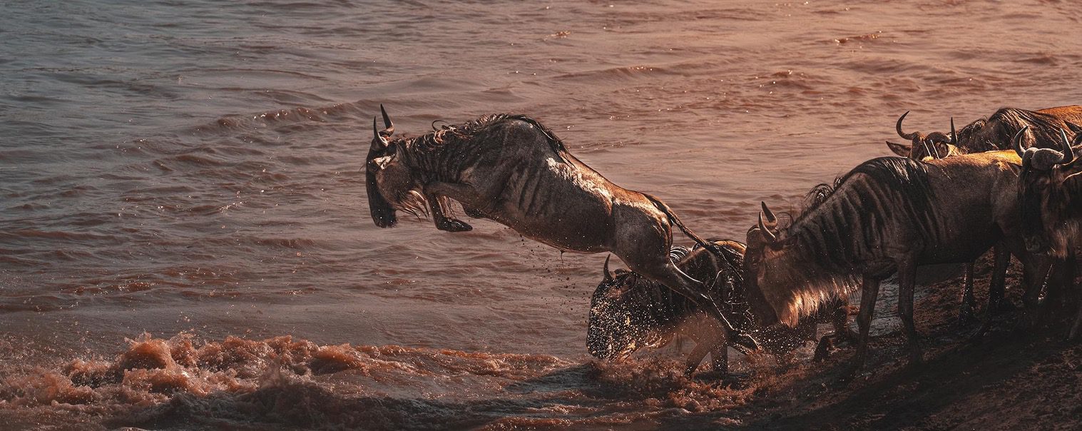 4-Day Luxury & Great Migration Safari