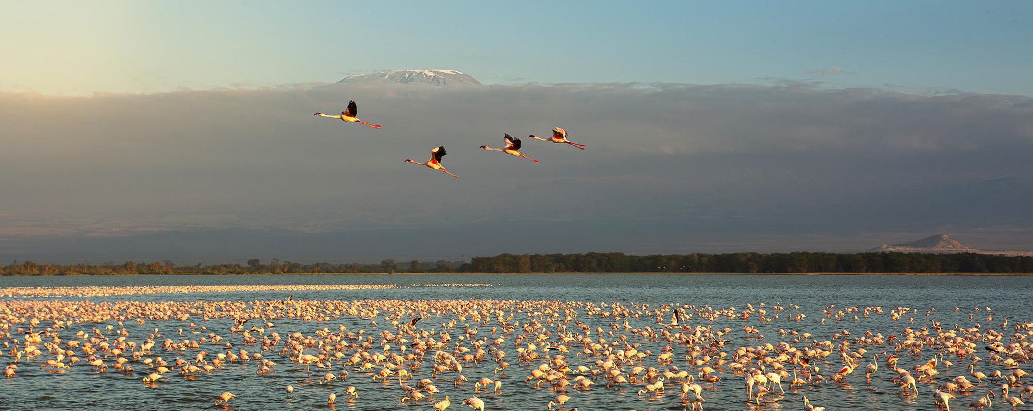 9-Days Photography Safari