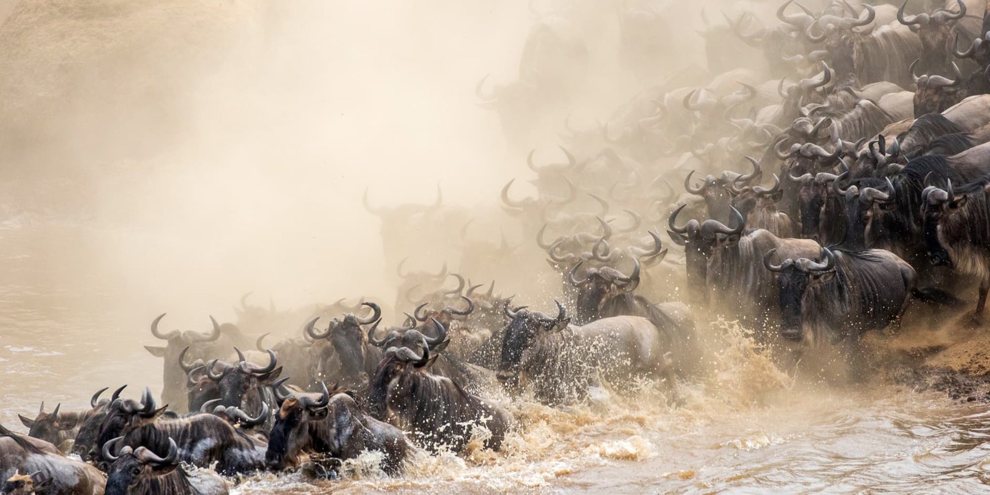 12-Day Kenya-Tanzania Migration & Beach Safari