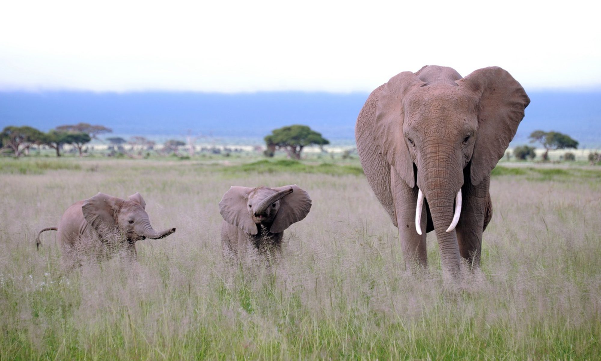 8-Day Photography Safari