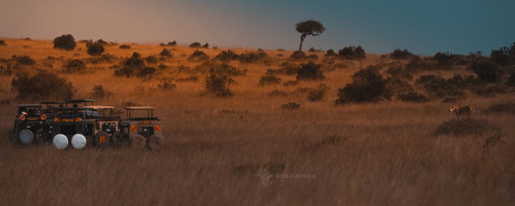This image has an empty alt attribute; its file name is Serengeti-1024x410.jpg