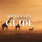 Kenya Visa Application