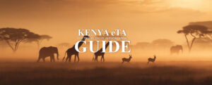 Kenya Visa Application