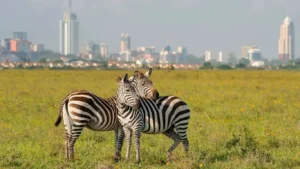 Nairobi National Park